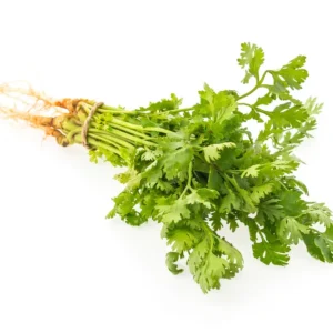 coriander