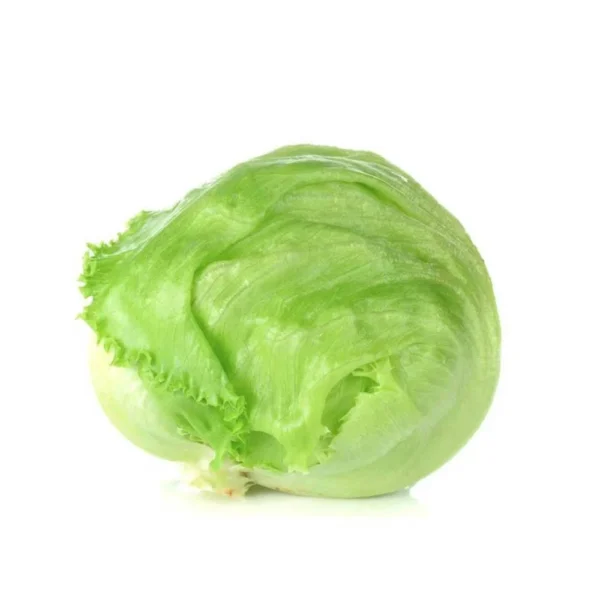 iceberg-lettuce