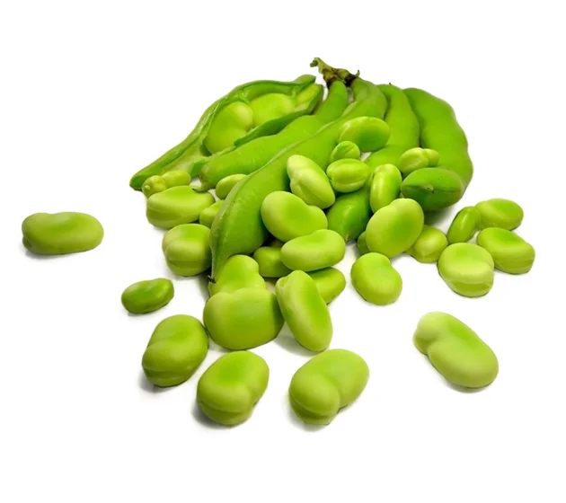 Broad Beans