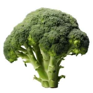 Broccoli