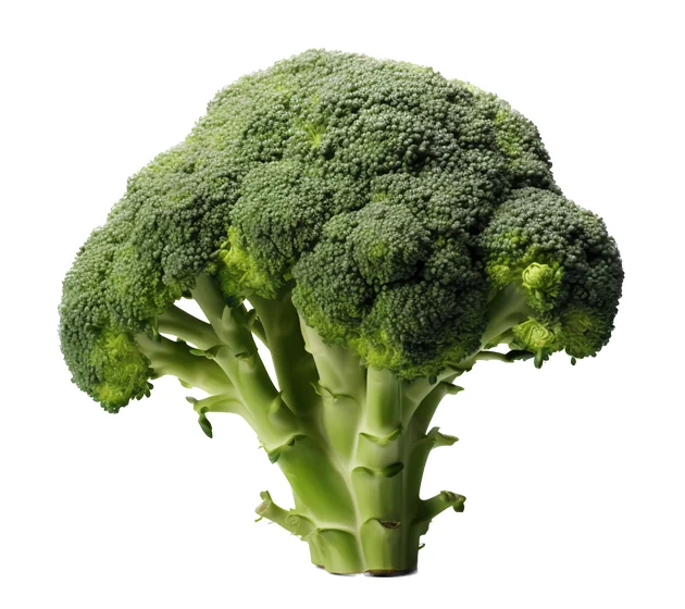 Broccoli