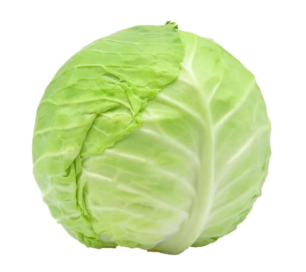 Cabbage