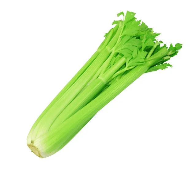 Celery