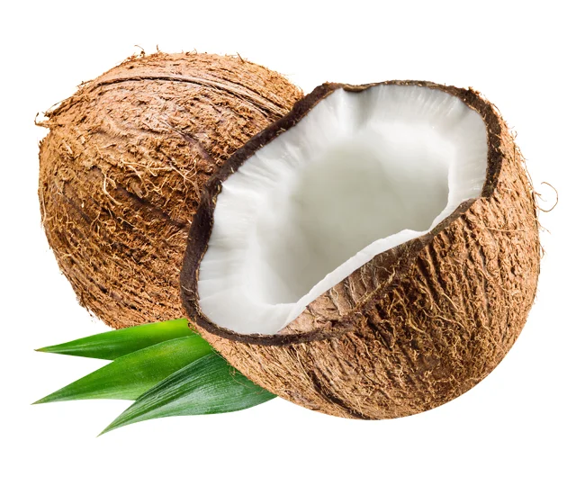 Coconut