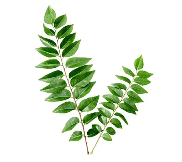 Curry leaves