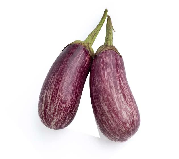 Dominican Aubergine