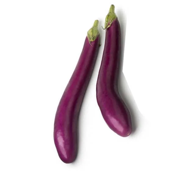 Dutch Aubergine (large)