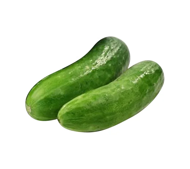 Dutch Mini Cucumber Eddoes