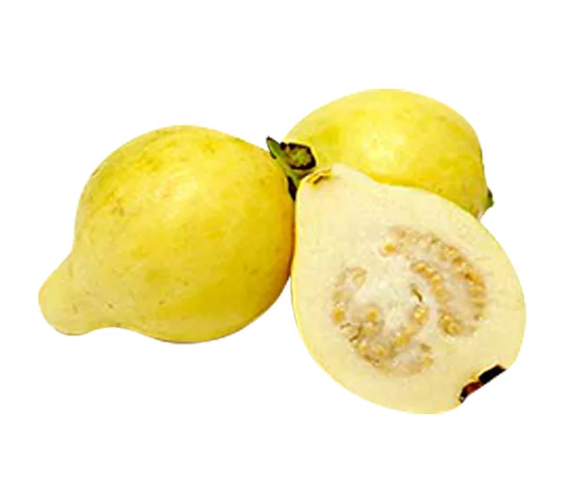 Egypt Guava