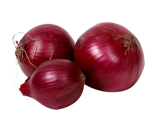 English Red Onion Box