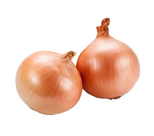 English brown Onions