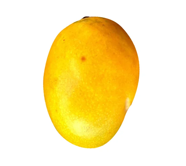 Ghana Dodo Mango