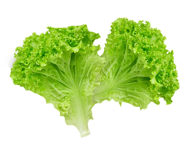 Lettuce