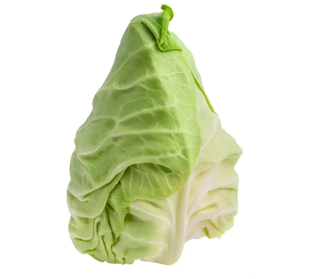 Pointed Cabbage