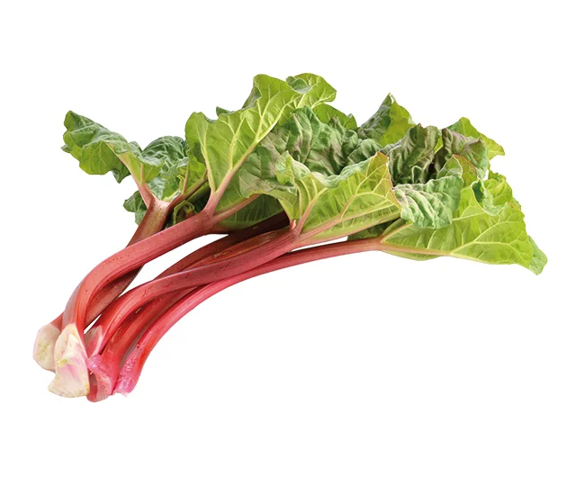 Rhubarb