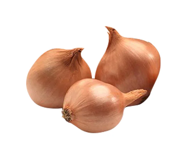 Round Shallots