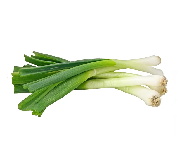 Spring Onion Short