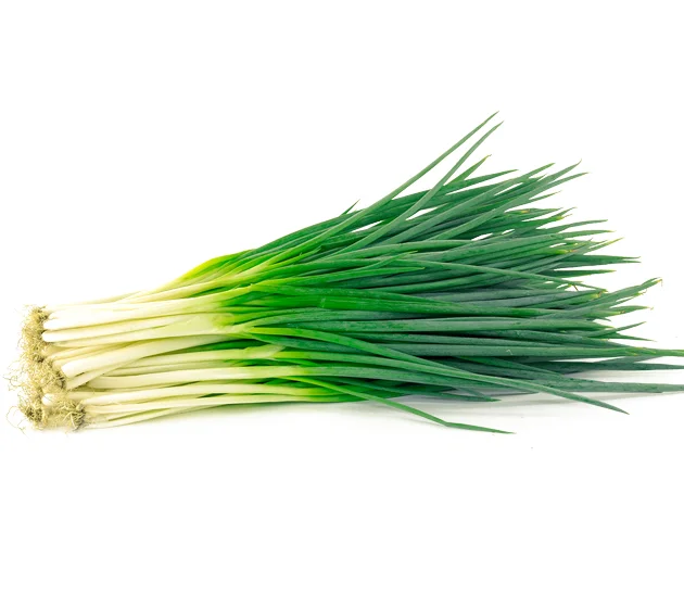 Spring Onion long