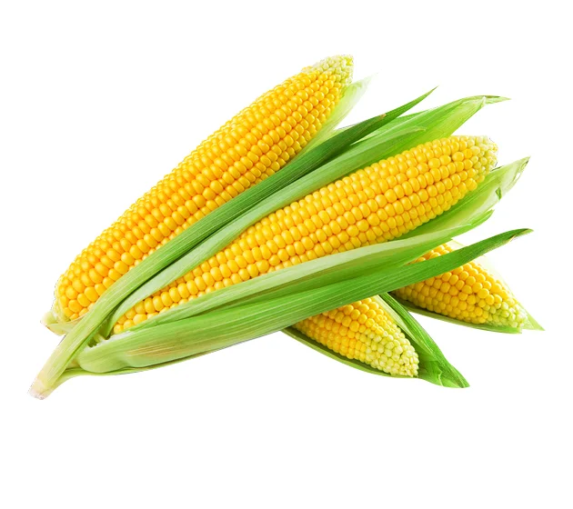 Sweetcorn