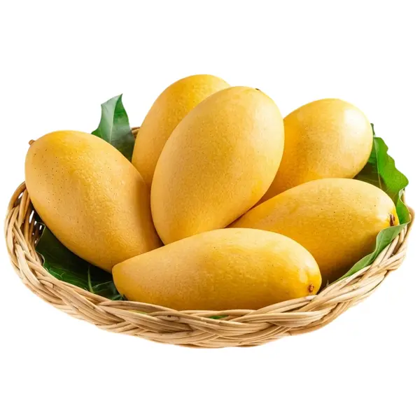 sindhri-mango-600x600